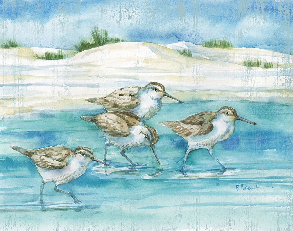 Sandy Sandpipers I Poster Print by Paul Brent - Item # VARPDXBNT1440
