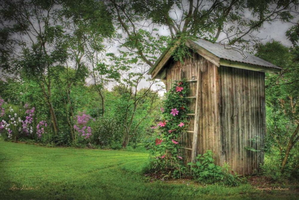 Fragrant Outhouse Poster Print by Lori Deiter - Item # VARPDXLD102