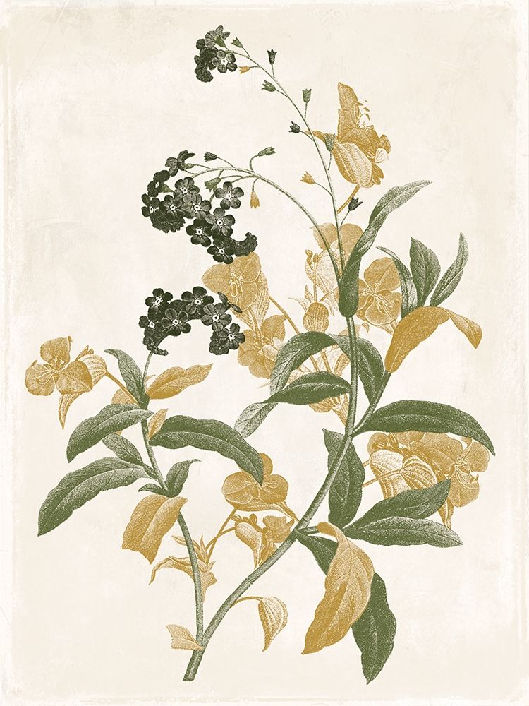 Green and Gold Flowers 2 Poster Print by Jace Grey - Item # VARPDXJGRC679B
