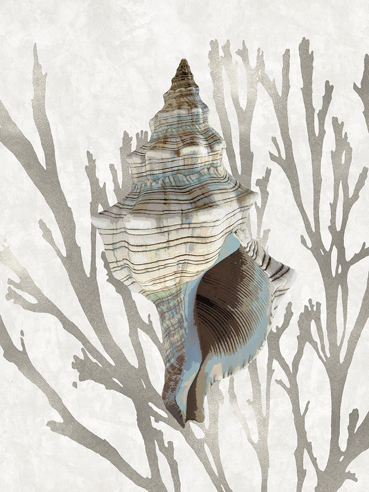 Shell Coral Silver III Poster Print by Caroline Kelly # CKL116035