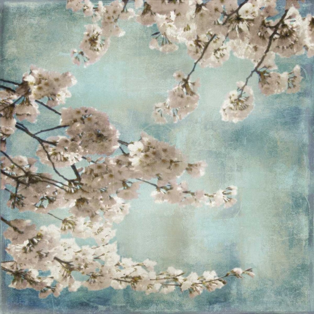 Aqua Blossoms II Poster Print by John Seba # IS7428