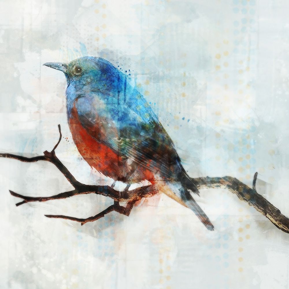 Little Blue Bird II  Poster Print by Ken Roko # KX081A