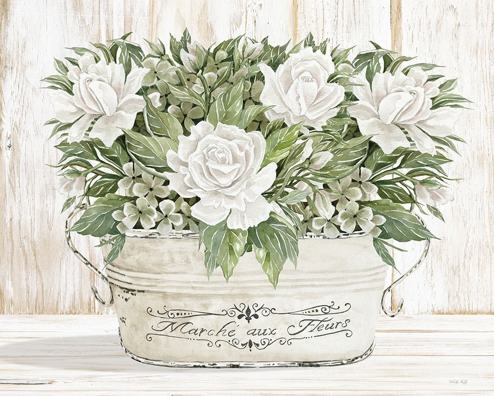 Roses in White Poster Print by Cindy Jacobs # CIN2350