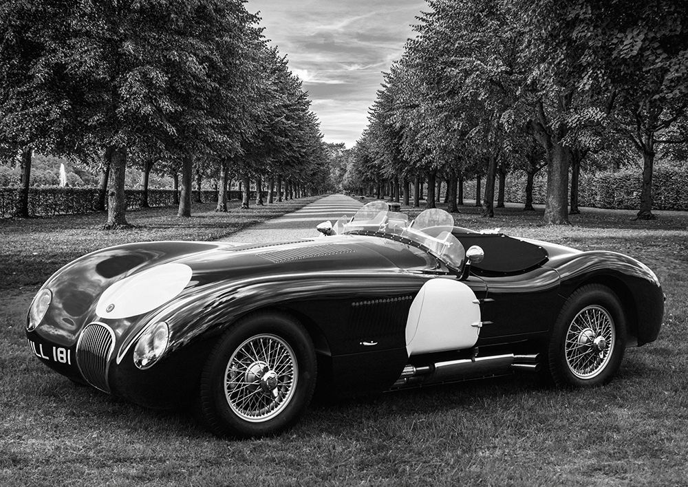 Vintage Roadster in a Park Poster Print by Gasoline Images Gasoline Images # 3AP5068