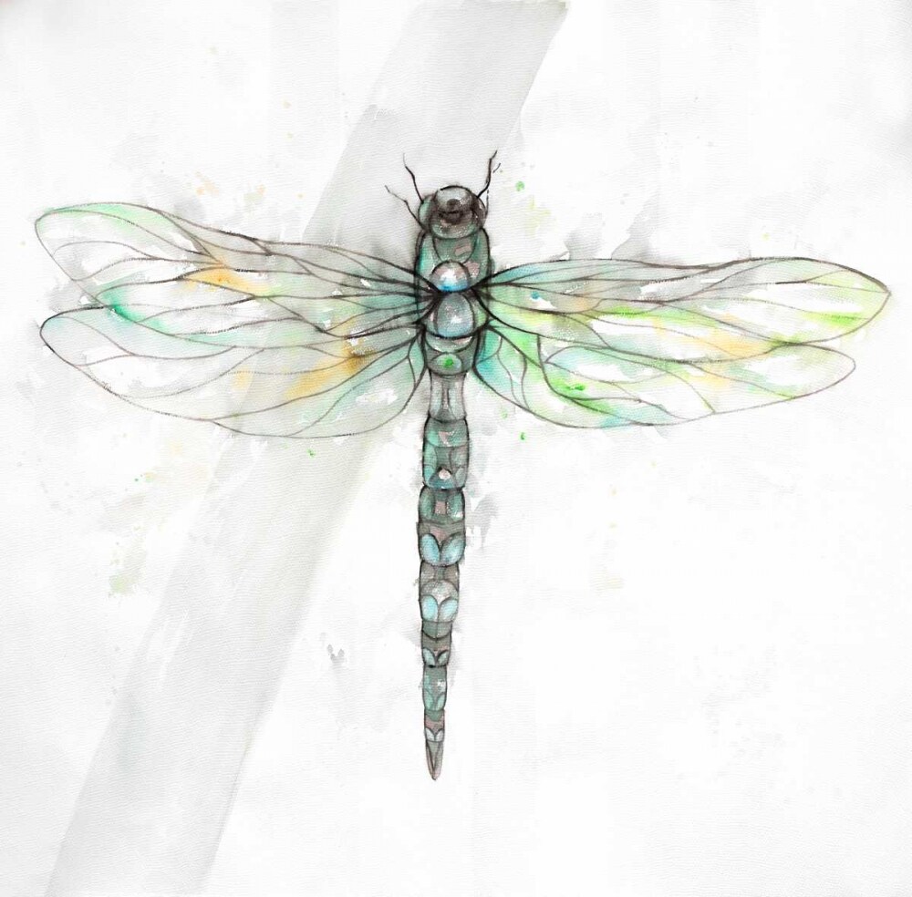 Dragonfly Poster Print by Atelier B Art Studio - Item # VARPDXBEGANI347