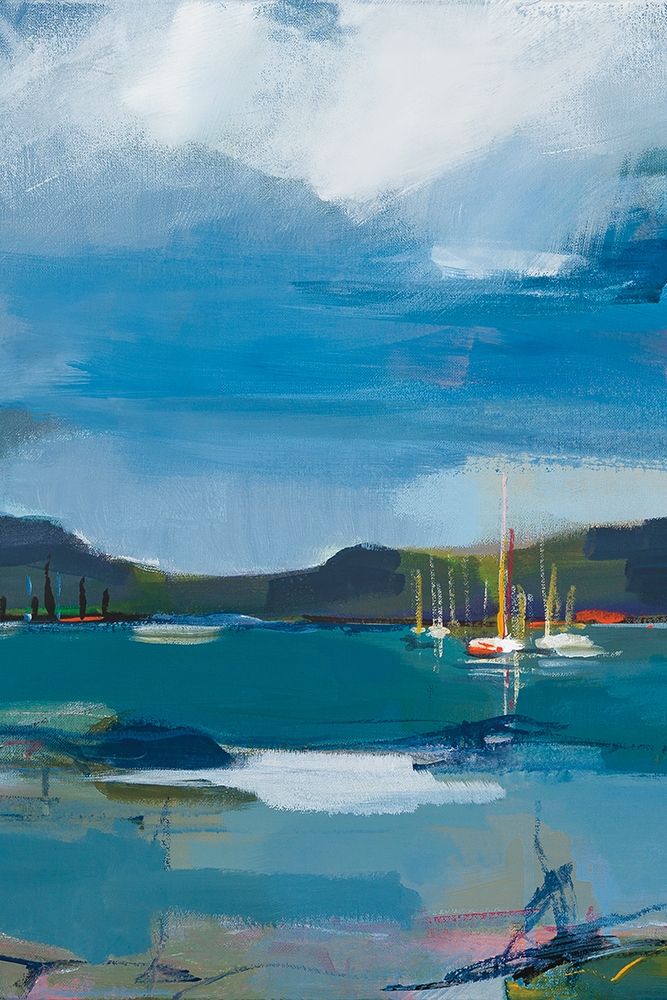 Coastal Display Ii Poster Print by A Fitsimmons - Item # VARPDX70046