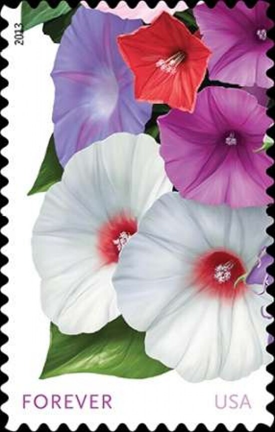 Morning Glories Poster Print by  US POSTAL SERVICE - Item # VARPDX3413