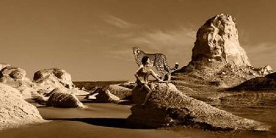 Wild Beauty Poster Print by Marc Moreau - Item # VARPDX2MR900