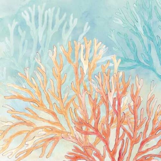 Coral Reef IV Poster Print by Cynthia Coulter - Item # VARPDXRB9385CC