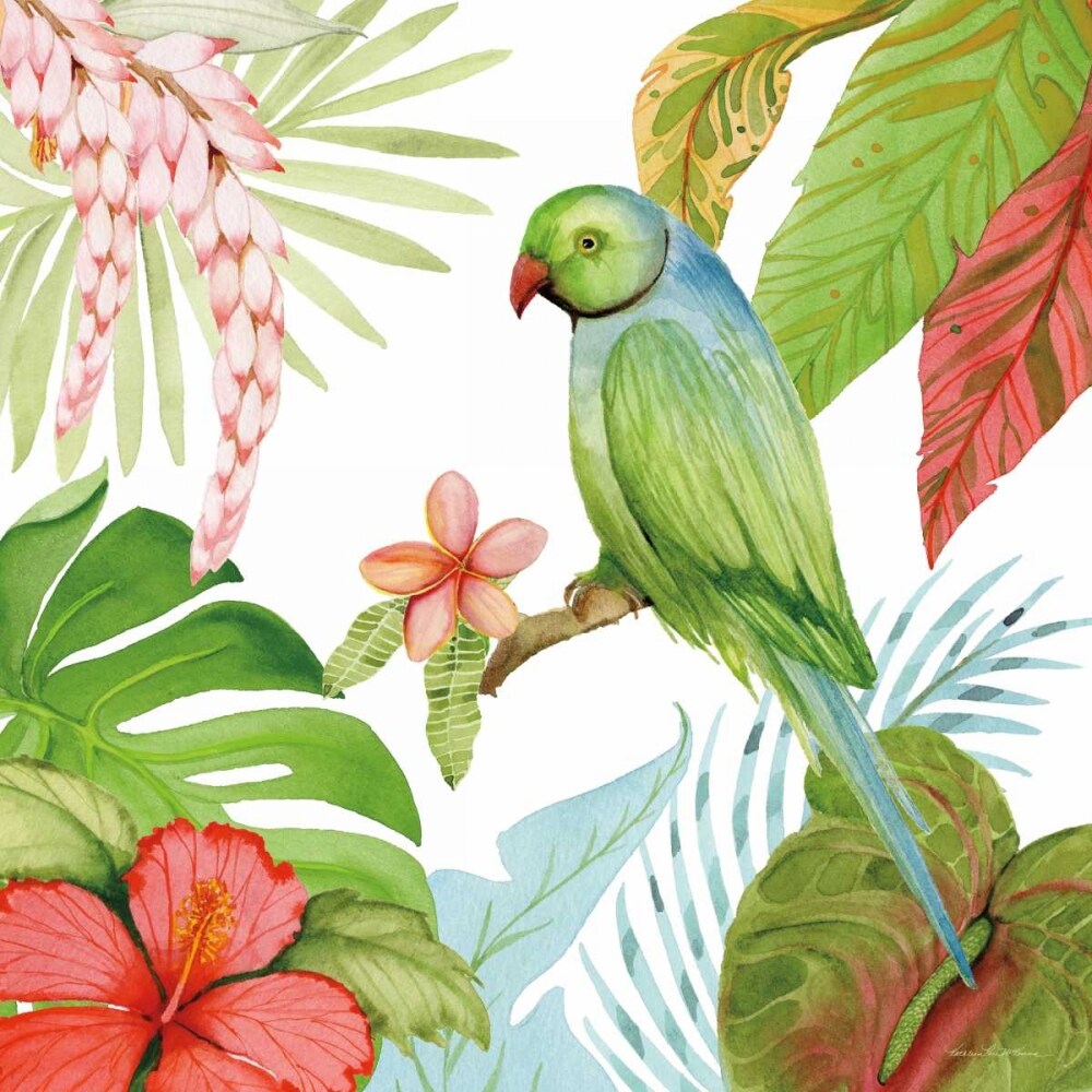 Treasures of the Tropics VII Poster Print by Kathleen Parr McKenna - Item # VARPDX34250HR