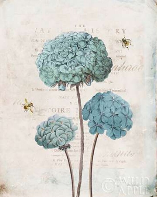 Geranium Study I Poster Print by Katie Pertiet - Item # VARPDX28811