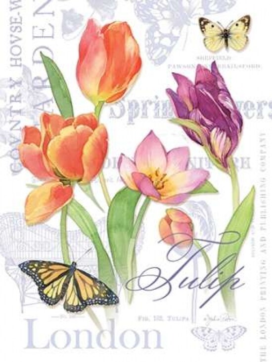 Country Manor II Poster Print by Julie Paton - Item # VARPDXPAT149