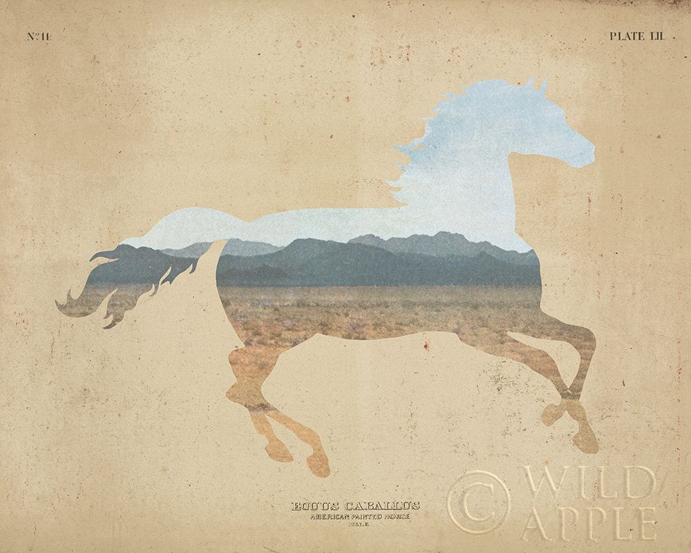 American Southwest Horse Distressed Poster Print by Wild Apple Portfolio - Item # VARPDX38816