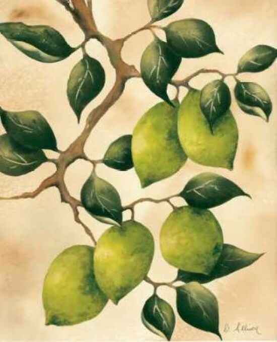 Italian Harvest - Limes Poster Print by Doris Allison - Item # VARPDX5271