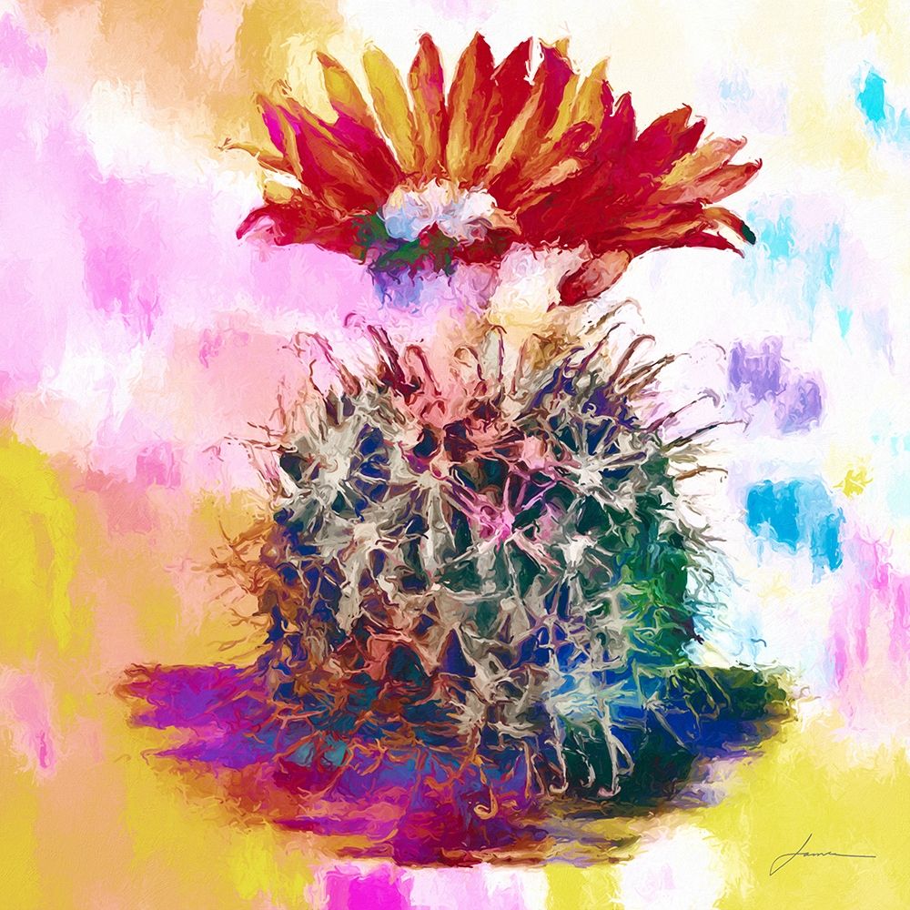 Desert Bloom Poster Print by James Burghardt - Item # VARPDX19424