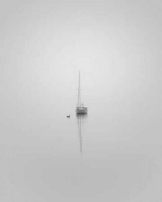 Companions Poster Print by Nicholas Bell - Item # VARPDXB2800D