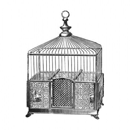 Etchings: Birdcage - Pyramidal top patterned base. Poster Print by Catalog Illustration - Item # VARPDX454818
