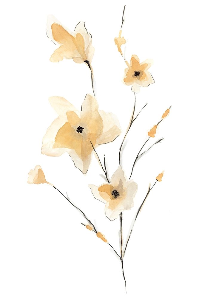 Morning Glory Ii Poster Print by Corrie Golden - Item # VARPDXPOD60478