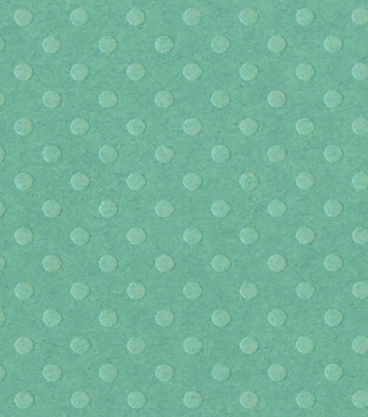 Bazzill Dotted Swiss Cardstock 8.5"X11"Tahitia Michaels