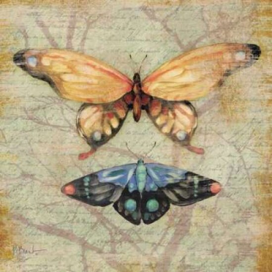 Vintage Butterflies II Poster Print by Paul Brent - Item # VARPDXBNT217