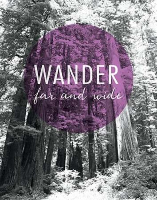 Wander Far and Wide Poster Print by Laura Marshall - Item # VARPDX21612