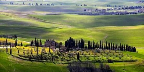 Country houses in Tuscany Poster Print by Vadim Ratsenskiy - Item # VARPDX2VR1721
