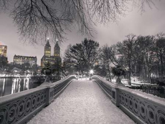 Central park Bow Bridge with Manhattan skyline, New York Poster Print by Assaf Frank - Item # VARPDXFTBR1775