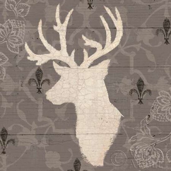 Rustic Elegance II Poster Print by James Wiens - Item # VARPDX14115