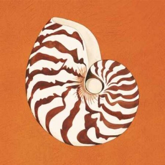 Cayman Quartet C Poster Print by Judy Shelby - Item # VARPDXCC2673C