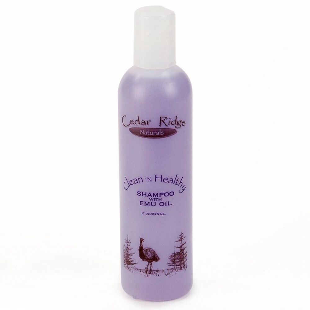 Cedar Ridge Naturals Clean 'n Healthy Shampoo with Oil Michaels