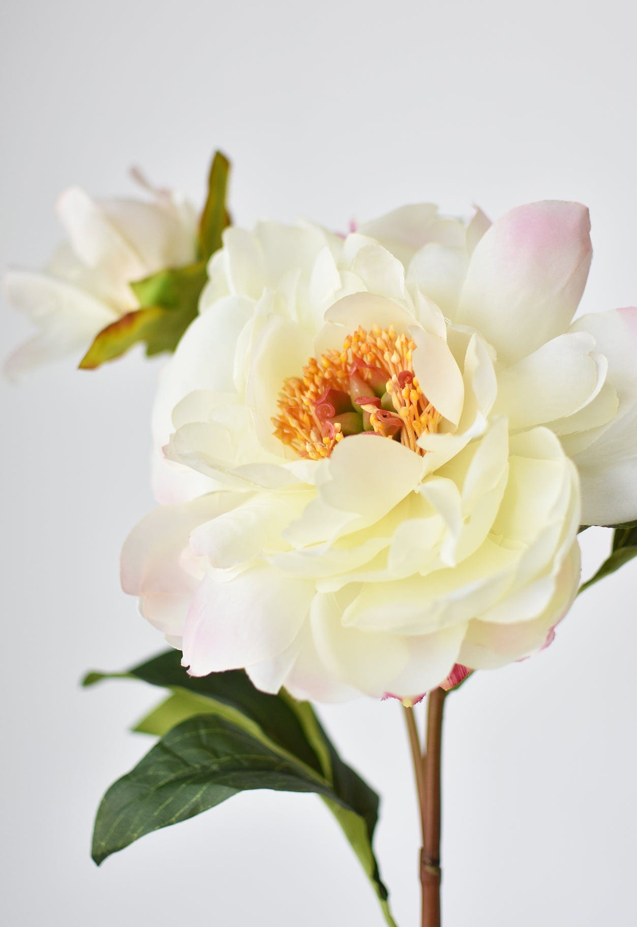 22.5&#x22; Faux Peony Stem w/Bud Cream White