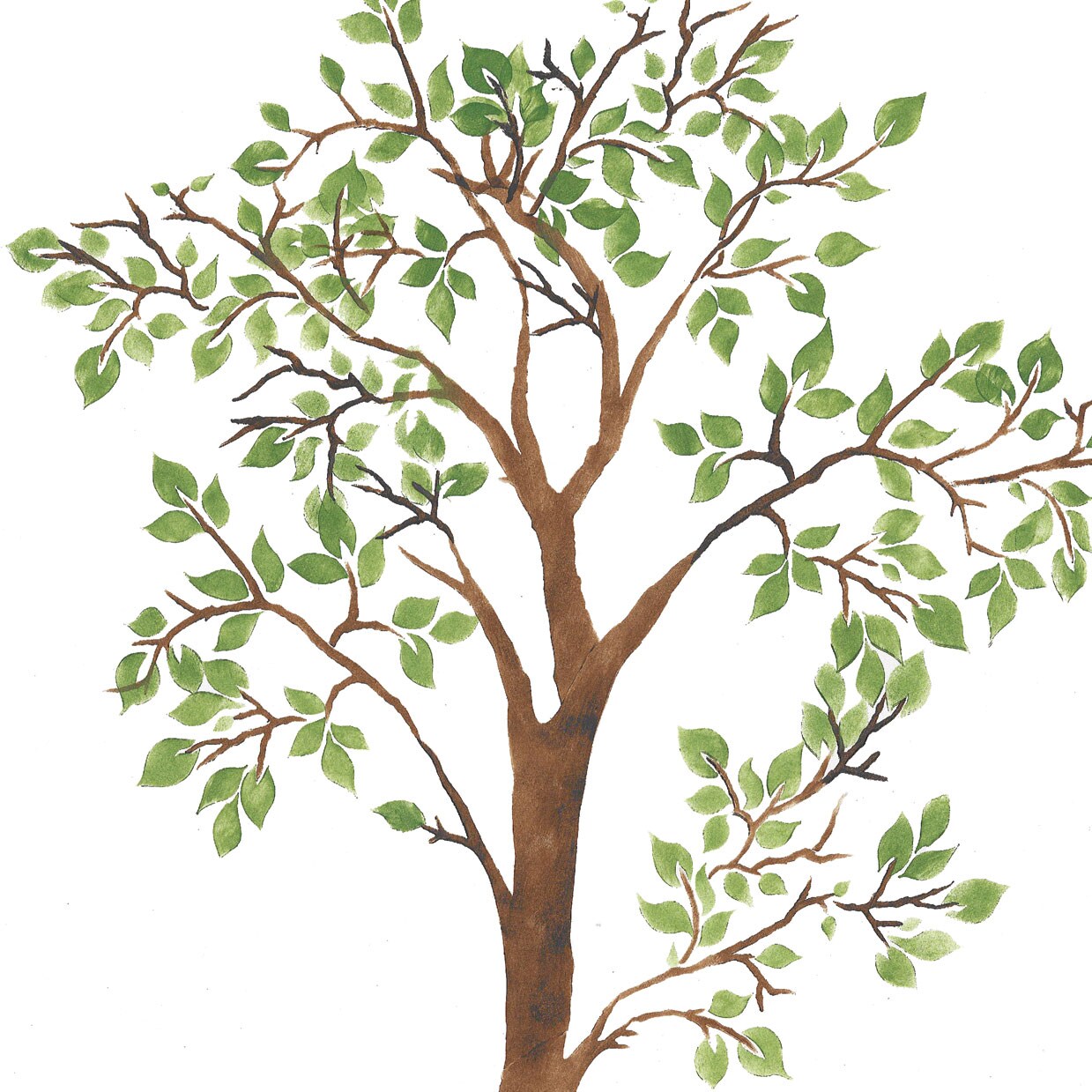 Tall Leafy Tree Wall Stencil | 3618 by Designer Stencils | Floral Stencils | Reusable Art Craft Stencils for Painting on Walls, Canvas, Wood | Reusable Plastic Paint Stencil for Home Makeover | Easy to Use &#x26; Clean Art Stencil