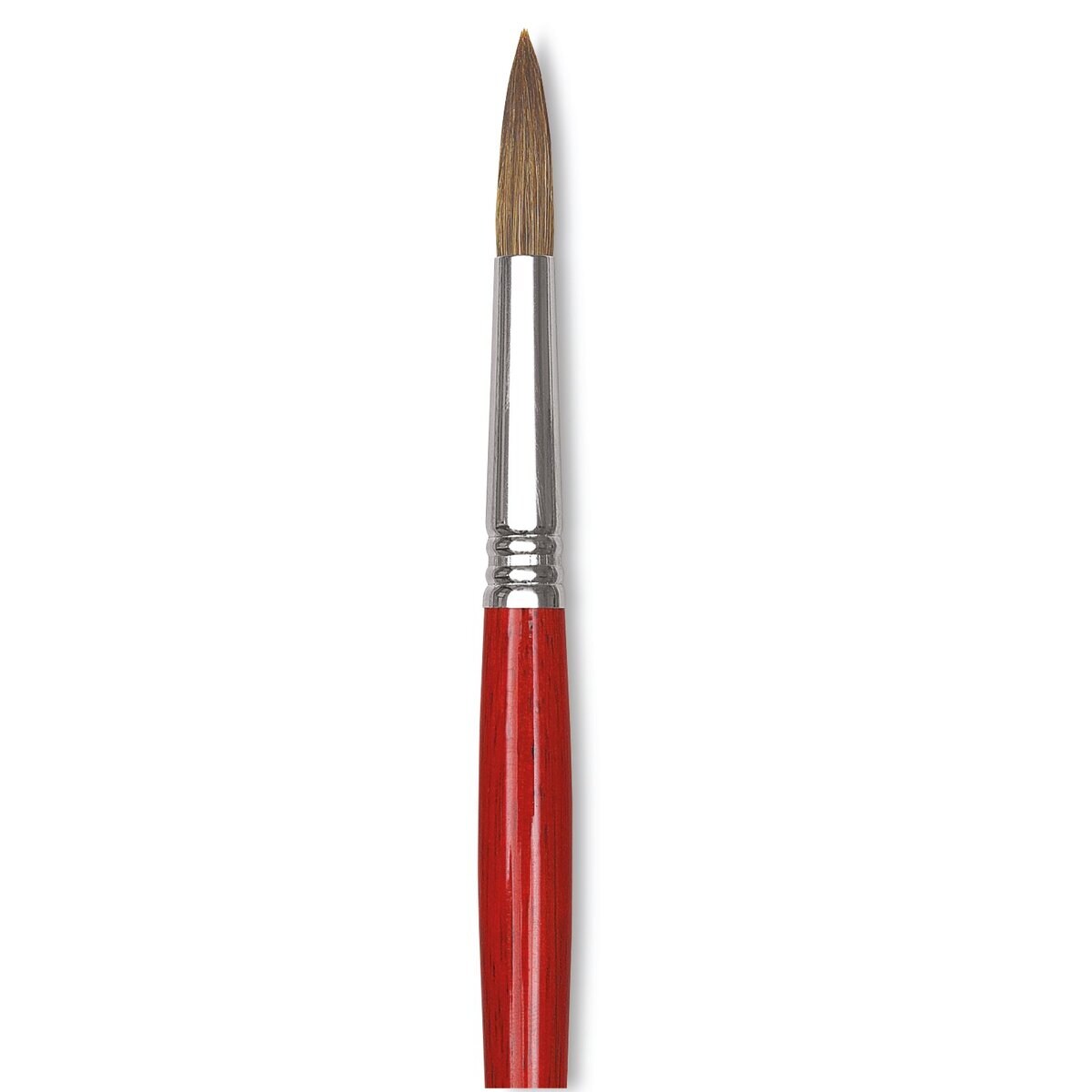 Escoda Bravo Light Ox Hair Brush - Round, Long Handle, Size 14