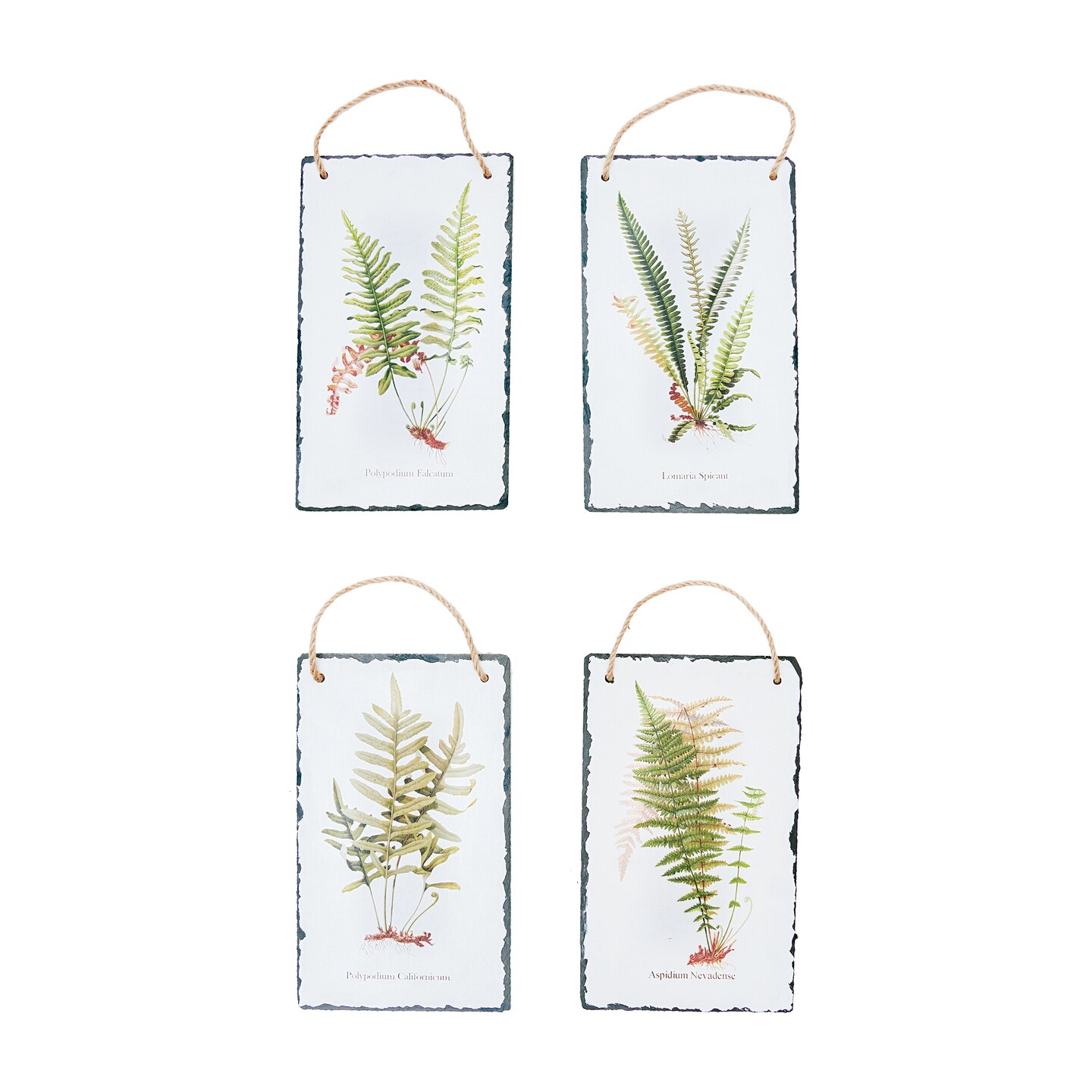 Fern Slate Hanging Assortment of 4 Wall Art Signs 7" x 11.75"