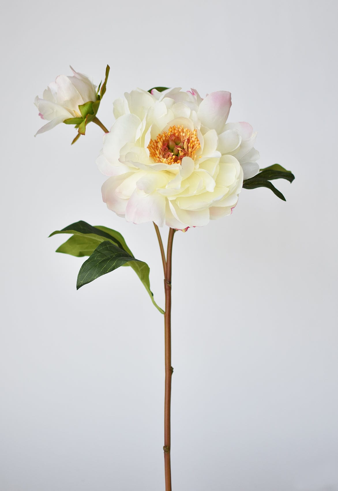 22.5&#x22; Faux Peony Stem w/Bud Cream White