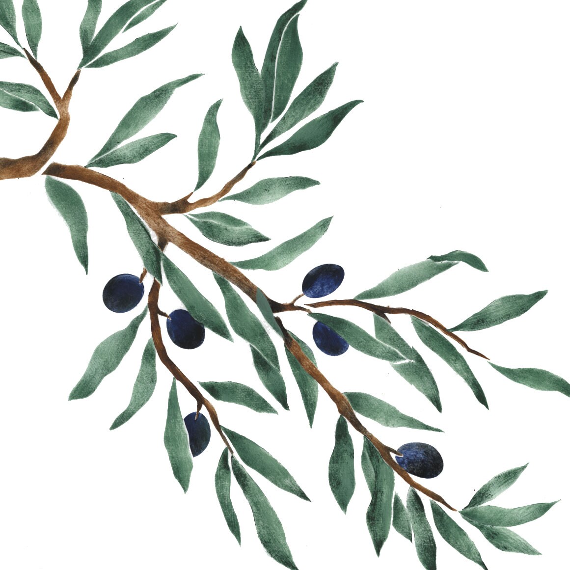 Olive Tree Branch Wall Stencil | 3031 by Designer Stencils | Floral Stencils | Reusable Art Craft Stencils for Painting on Walls, Canvas, Wood | Reusable Plastic Paint Stencil for Home Makeover | Easy to Use &#x26; Clean Art Stencil