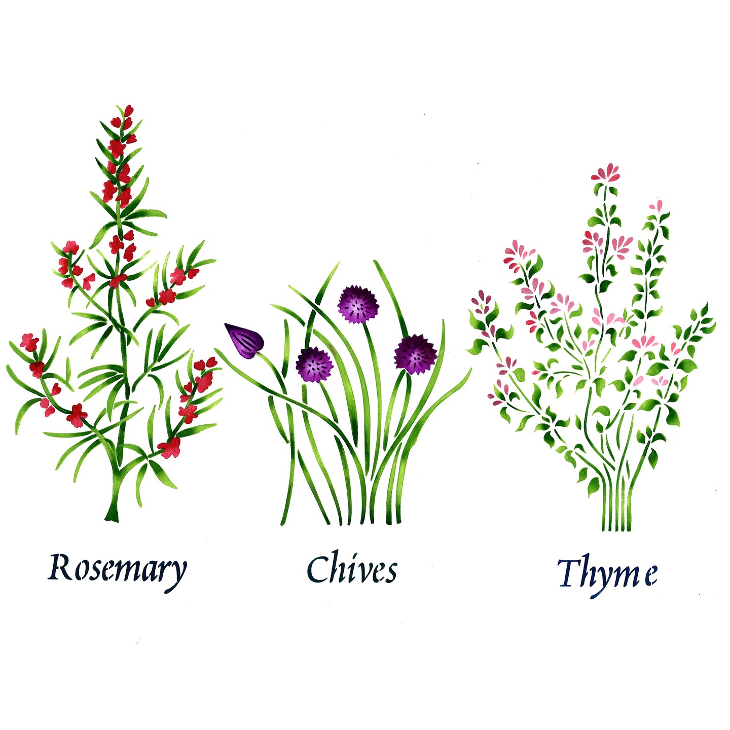 Small Standing Herbs: Rosemary, Chives, Thyme Wall Stencil | 2950R by Designer Stencils | Word & Phrase Stencils | Reusable Art Craft Stencils for Painting on Walls, Canvas, Wood | Reusable Plastic Paint Stencil for Home Makeover | Easy to Use & Clean Art Stencil