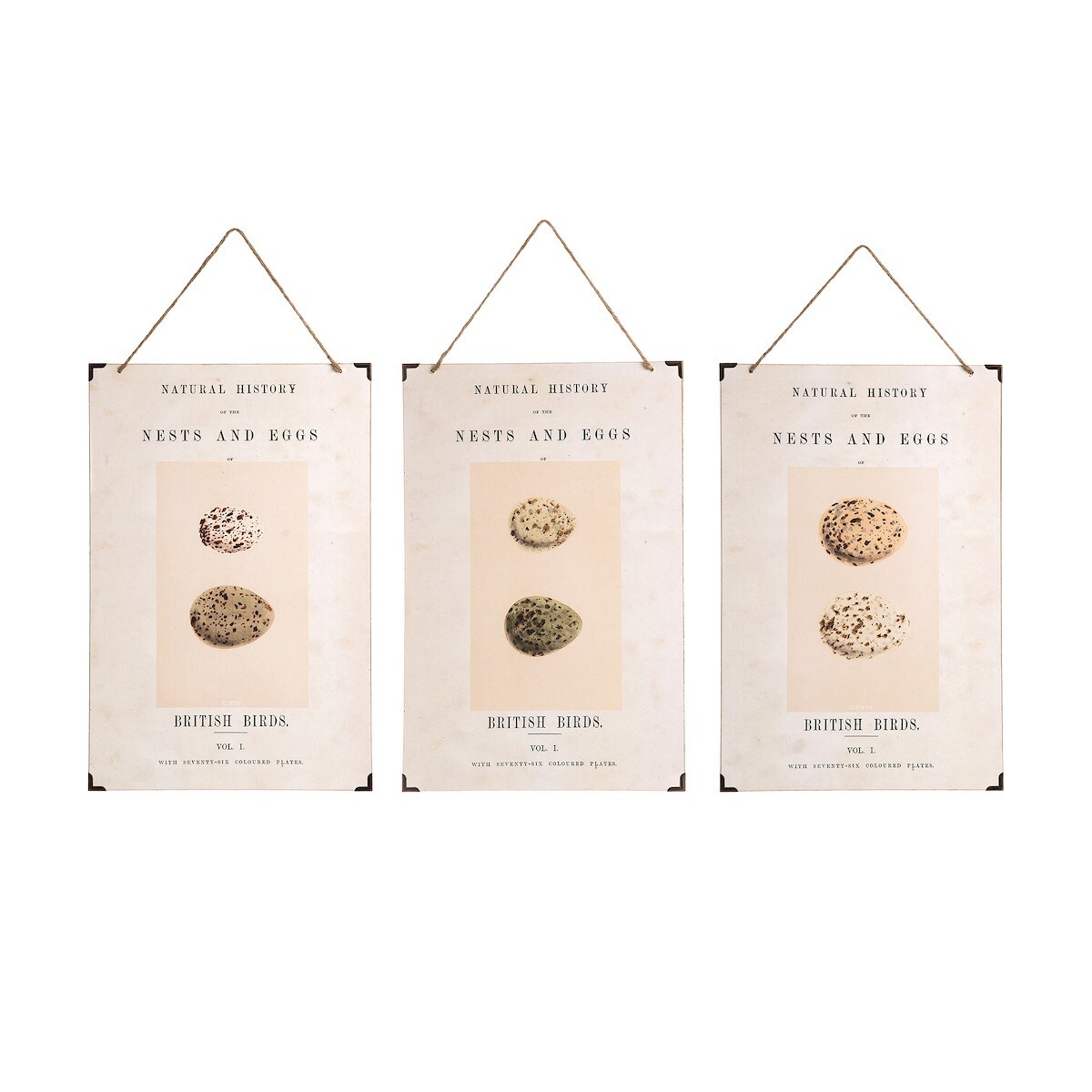 British Birds Eggs Spring Easter Wall Art Decor S/3