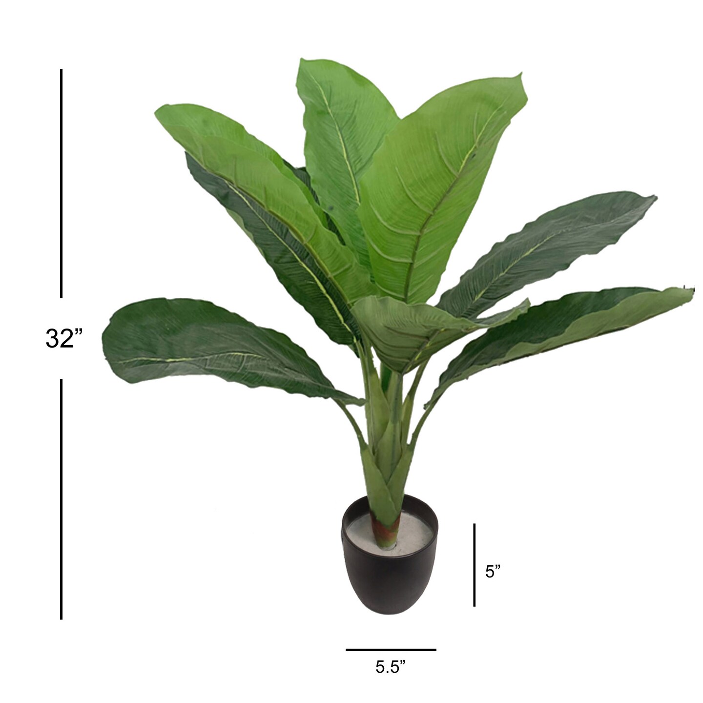 Lush 32" Artificial Banana Palm Plant - Lifelike Tropical Foliage, Perfect for Home & Office Decor, Floral Home by Artificial Flowers