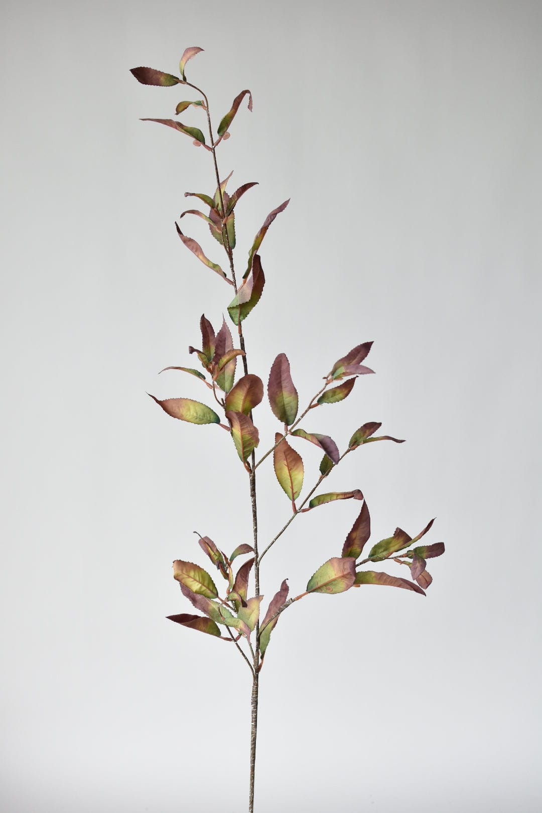 48&#x22; Faux Dried Chokeberry Fall Foliage Stem - Dried Eggplant Brown