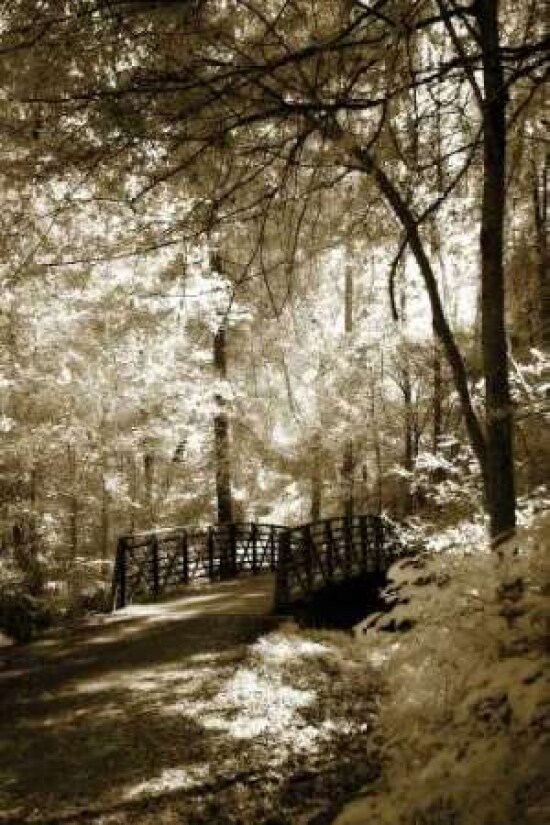 Summer Bridge Poster Print by Alan Hausenflock - Item # VARPDXPSHSF515