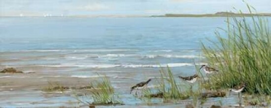 Sandpiper Beach Poster Print by Sally Swatland - Item # VARPDX17462