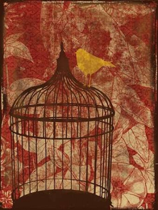 Birdcage on Red 2 Poster Print by Jace Grey - Item # VARPDXJGRC016D