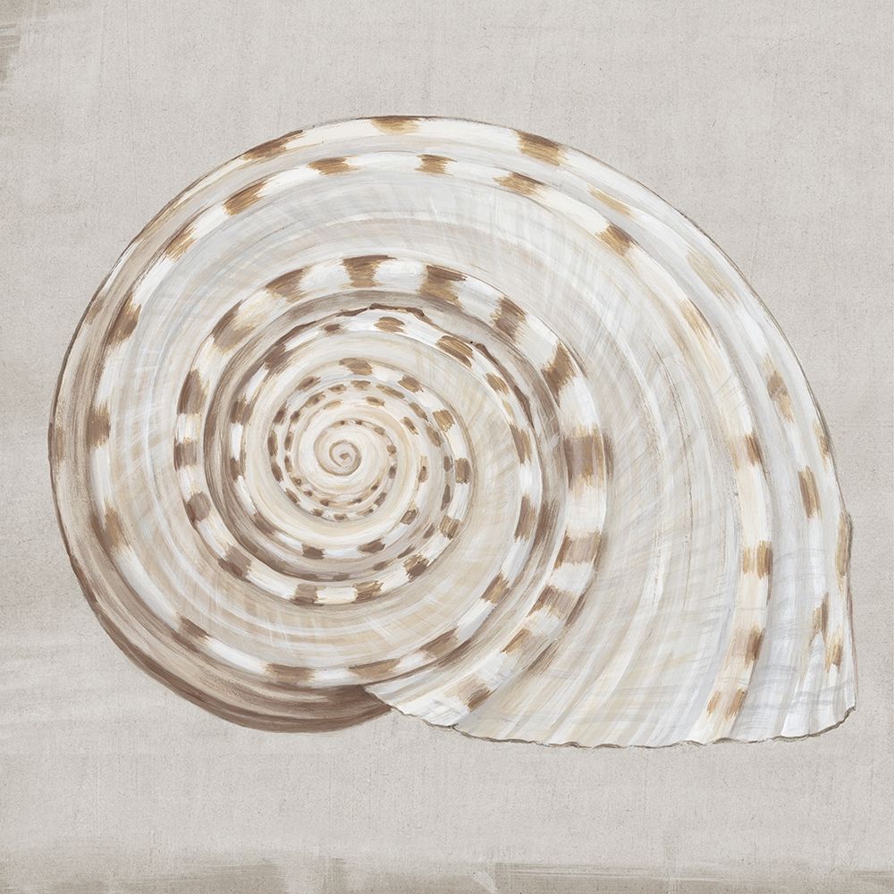 Neutral Shells I Poster Print by Eva Watts - Item # VARPDXEW142A