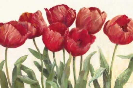 Ruby Tulips Wag Poster Print by Carol Rowan - Item # VARPDX8143