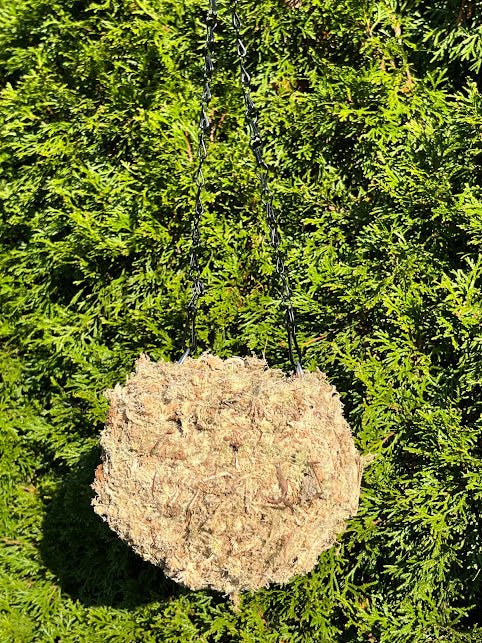 6&#x22; MOSS Hanging Planter -  Ball NATURAL
