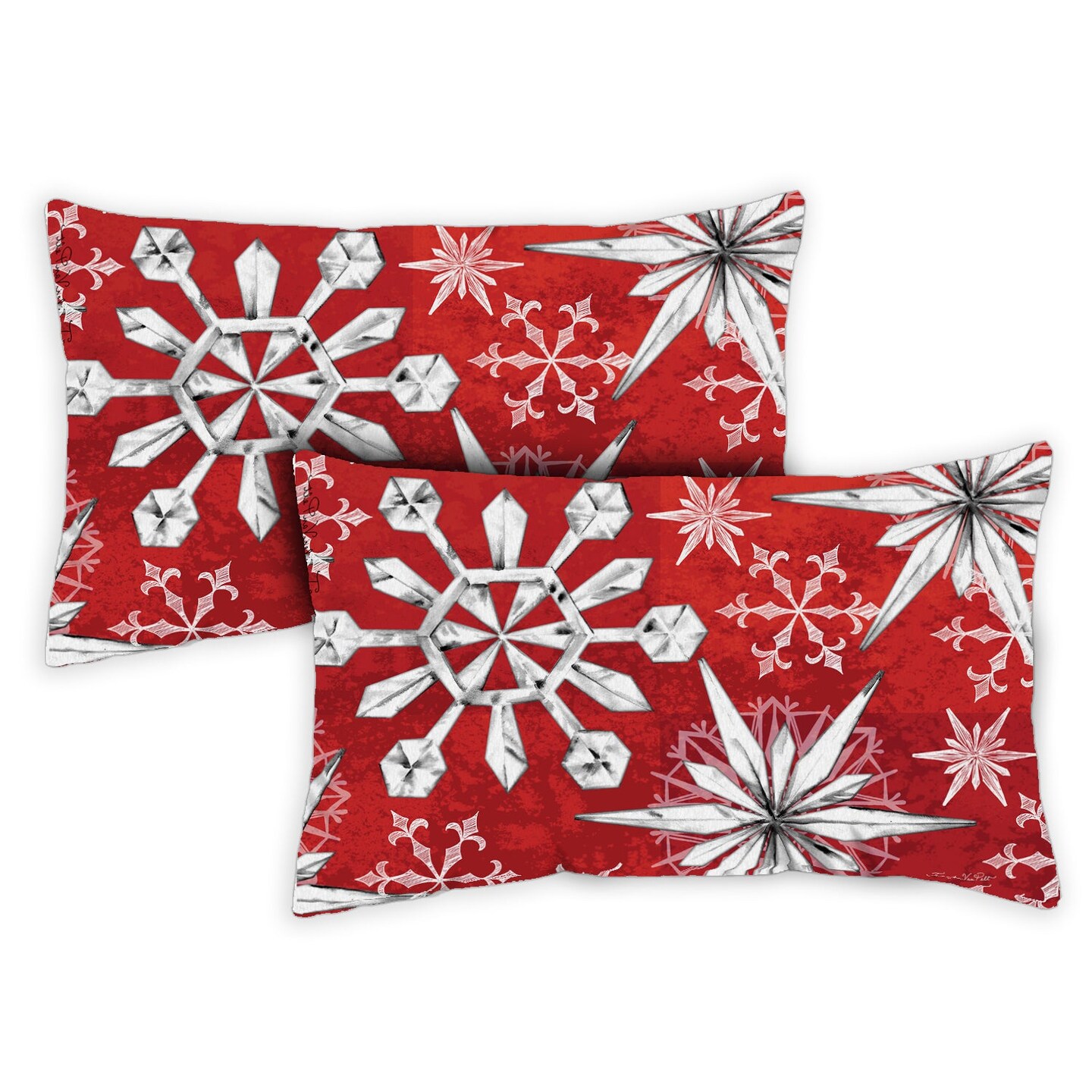 Snowflake Salutations Decorative Winter Indoor/Outdoor Pillow Cover (set of 2)