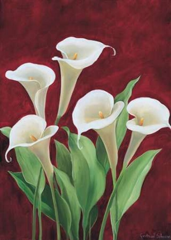 Calla on burgundy II Poster Print by  Gertrud Schweser - Item # VARPDXMLV258