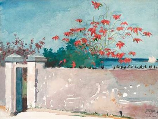 A Wall, Nassau Poster Print by Winslow Homer - Item # VARPDX3HO2148