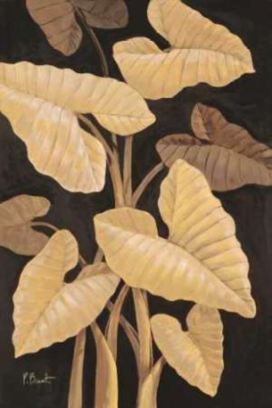 Tropical Leaves Poster Print by Paul Brent - Item # VARPDXBNT019